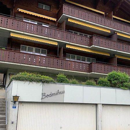 Luxury, New - Amazing Views Grindelwald Eiger Jungfrau Moench Appartement Buitenkant foto