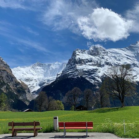 Luxury, New - Amazing Views Grindelwald Eiger Jungfrau Moench Appartement Buitenkant foto