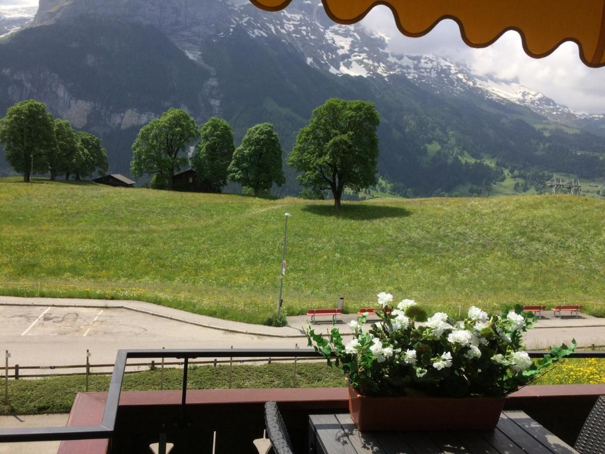 Luxury, New - Amazing Views Grindelwald Eiger Jungfrau Moench Appartement Buitenkant foto