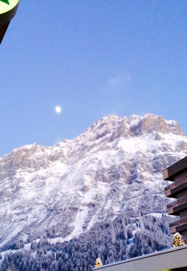 Luxury, New - Amazing Views Grindelwald Eiger Jungfrau Moench Appartement Buitenkant foto