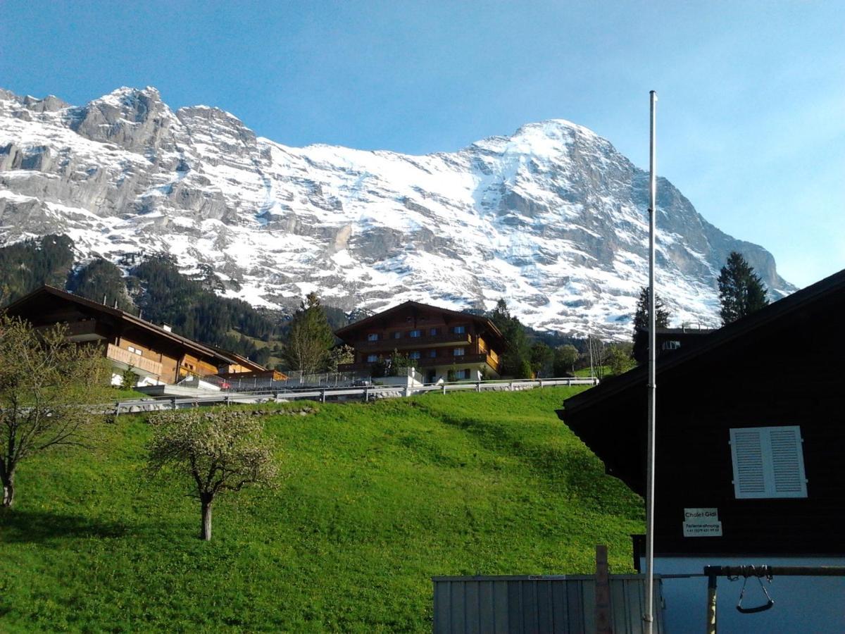Luxury, New - Amazing Views Grindelwald Eiger Jungfrau Moench Appartement Buitenkant foto
