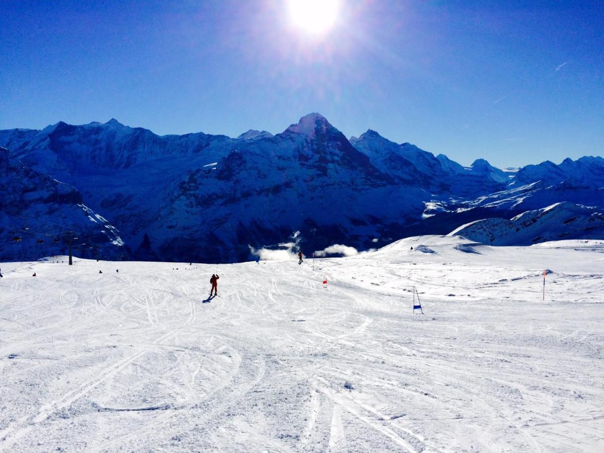 Luxury, New - Amazing Views Grindelwald Eiger Jungfrau Moench Appartement Buitenkant foto