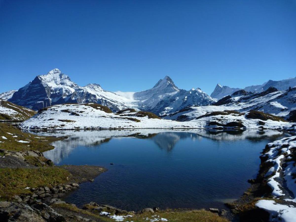 Luxury, New - Amazing Views Grindelwald Eiger Jungfrau Moench Appartement Buitenkant foto