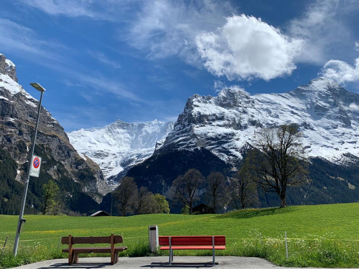 Luxury, New - Amazing Views Grindelwald Eiger Jungfrau Moench Appartement Buitenkant foto